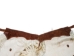 Angora Wooly Chaps: Adult: Gallery Item - 1405-AN-G8543 (Y1GRH)