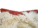 Angora Wooly Chaps: Adult: Gallery Item - 1405-AN-G8543 (Y1GRH)