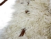 Angora Wooly Chaps: Adult: Gallery Item - 1405-AN-G8543 (Y1GRH)
