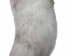 Wearable Cosplay Real Fox Tail with Belt Attachment: Gallery Item - 1429-F-G8525 (YRGRG)