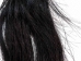 Wearable Cosplay Real Horse Tail with Belt Attachment: Gallery Item - 1429-H-G8526 (Y1FRF)