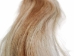 Wearable Cosplay Real Horse Tail with Belt Attachment: Gallery Item - 1429-H-G8528 (Y1F)