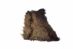 Craft Grade Buffalo Hide Piece: Gallery Item - 149-CR-GP4695 (Y2DRG)