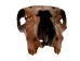 Fossil Calf Skull: Gallery Item - 15-SPEC-G4429 (Y3LRB)