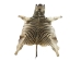 Zebra Skin: Trophy Grade: Gallery Item - 168-T-G103 (Y2DXX)