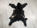 Black Bear Skin with Claws: Gallery Item - 175-30-G4830 (Y2O)