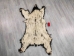 Black Bear Skin with Claws: Gallery Item - 175-30-G4832 (Y2ORD)
