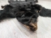 Black Bear Skin with Claws: Gallery Item - 175-30-G4832 (Y2ORD)