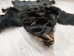 Black Bear Skin with Claws: Gallery Item - 175-30-G4832 (Y2O)