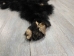 Black Bear Skin with Claws: Gallery Item - 175-30-G4832 (Y2ORD)