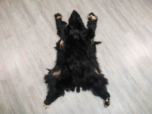Black Bear Skin with Claws: Gallery Item 