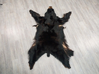Black Bear Skin with Claws: Gallery Item 