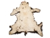 Craft Grade Black Bear Skin: Gallery Item - 175-CR-G8541 (Y2ORD)