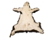 Craft Grade Black Bear Skin: Gallery Item - 175-CR-G8542 (Y2ORD)