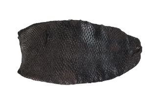 Flawed Beaver Tail: Dyed Black: Gallery Item 