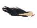 Tanned Horse Tail: Gallery Item - 18-06T-G6390 (Y1HRF)