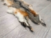 Cross Fox Skin: Craft: Gallery Item - 180-01-G4214 (9UZ)