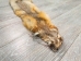 Kit Fox Skin: Gallery Item - 180-09-G4835 (Y2KWR)