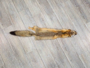 Kit Fox Skin: Gallery Item 