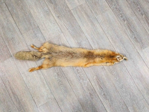 Kit Fox Skin: Gallery Item 