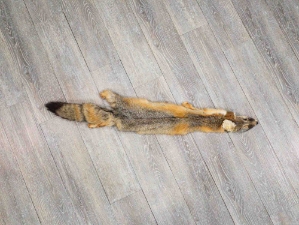Trading Post Kit Fox Skin: Gallery Item 