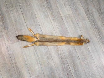 Trading Post Kit Fox Skin: Gallery Item 