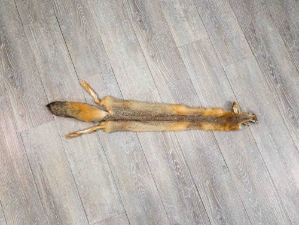 Trading Post Kit Fox Skin: Gallery Item 