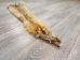 Craft Grade Kit Fox Skin: Gallery Item - 180-09-G4840 (Y2KWR)