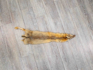 Craft Grade Kit Fox Skin: Gallery Item 