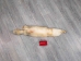 Kit Fox Skin: Gallery Item - 180-09-G4842 (Y2KWR)