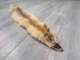 Kit Fox Skin: Gallery Item - 180-09-G4842 (Y2KWR)