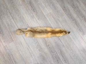 Kit Fox Skin: Gallery Item 