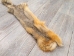 Reject Grade Kit Fox Skin: Gallery Item - 180-09-G4843 (Y2KWR)