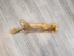 Reject Grade Kit Fox Skin: Gallery Item - 180-09-G4843 (Y2KWR)