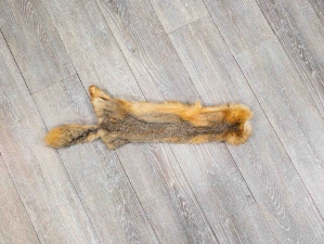 Reject Grade Kit Fox Skin: Gallery Item 