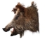 Mounted Wild Boar Head: Small: Gallery Item - 20-70-G4510 (Y2NXX)
