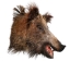 Mounted Wild Boar Head: Small: Gallery Item - 20-70-G4510 (Y2NXX)