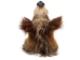 Mounted Wild Boar Head: Small: Gallery Item - 20-70-G4510 (Y2NXX)