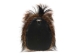 Mounted Wild Boar Head: Small: Gallery Item - 20-70-G4510 (Y2NXX)