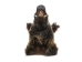 Mounted Wild Boar Head: Small: Gallery Item - 20-70-G4511 (Y2NXX)