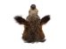Mounted Wild Boar Head: Small: Gallery Item - 20-70-G4513 (Y2NXX)