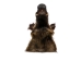 Mounted Wild Boar Head: Small: Gallery Item - 20-70-G4514 (Y2NXX)