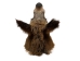 Mounted Wild Boar Head: Small: Gallery Item - 20-70-G4514 (Y2NXX)