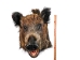 Mounted Wild Boar Head: Large: Gallery Item - 20-70-G4515 (Y2NXX)