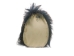 Mounted Wild Boar Head: Large: Gallery Item - 20-70-G4515 (Y2NXX)