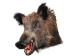 Mounted Wild Boar Head: Large: Gallery Item - 20-70-G4515 (Y2NXX)