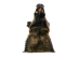 Mounted Wild Boar Head: Large: Gallery Item - 20-70-G4516 (Y2NXX)