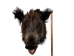 Mounted Wild Boar Head: Large: Gallery Item - 20-70-G4517 (Y2NXX)