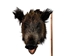 Mounted Wild Boar Head: Large: Gallery Item - 20-70-G4517 (Y2N)
