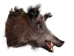 Mounted Wild Boar Head: Large: Gallery Item - 20-70-G4517 (Y2NXX)